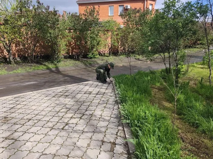 c10b07a9-b3e8-4b7a-89e1-f471351583c7