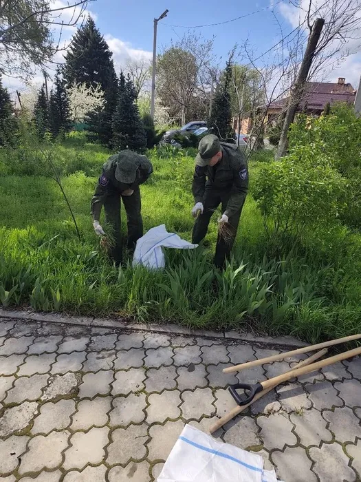 86a782c0-92eb-46e8-8424-2fe7a1bc3c41