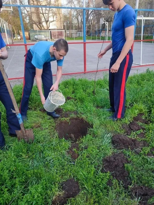 211981c3-a4b6-46d5-bab7-d0728c38dfbc