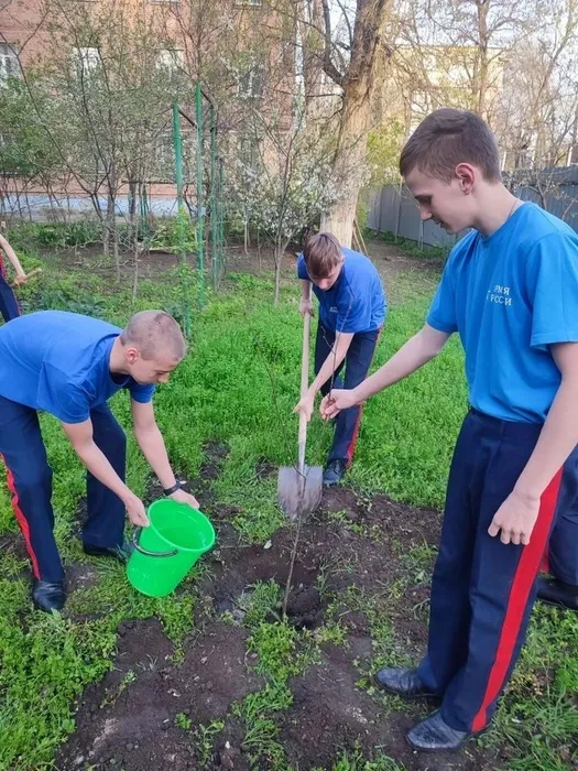 bf0be803-9661-44ab-821c-22ca50701b6b